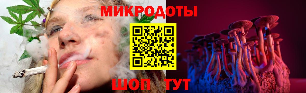 Мыски  Псилоцибиновые грибы MAGIC MUSHROOMS  Вход с VPN 
